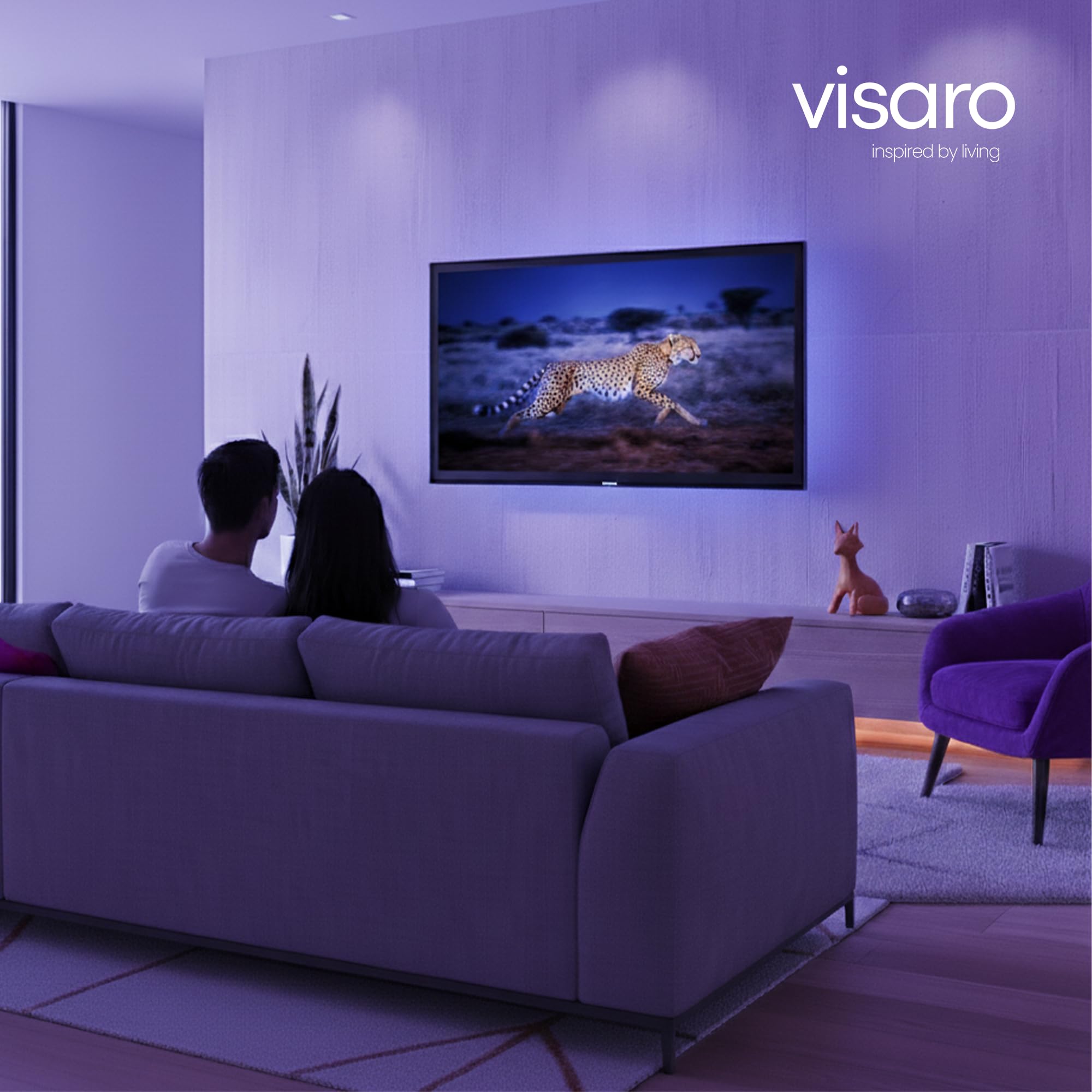 Visaro WMF75 Support TV Mural Fixe 43-75 Pouces, VESA 400x400