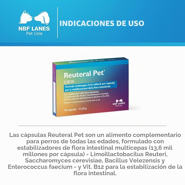 Foto 3 de 7 de NBF Lanes - Reuteral Pet Cane, 30 Cápsulas, Probiótico a Base de fermentos lácticos Vivos…