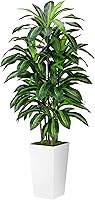 ASTIDY 5FT Artificial Dracaena Fake Tree with White Planter - Realistic Faux Yucca Floor Plant for Home Office Living Room Decor