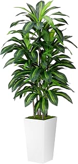 ASTIDY 5FT Artificial Dracaena Fake Tree with White Planter - Realistic Faux Yucca Floor Plant for Home Office Living Room Decor