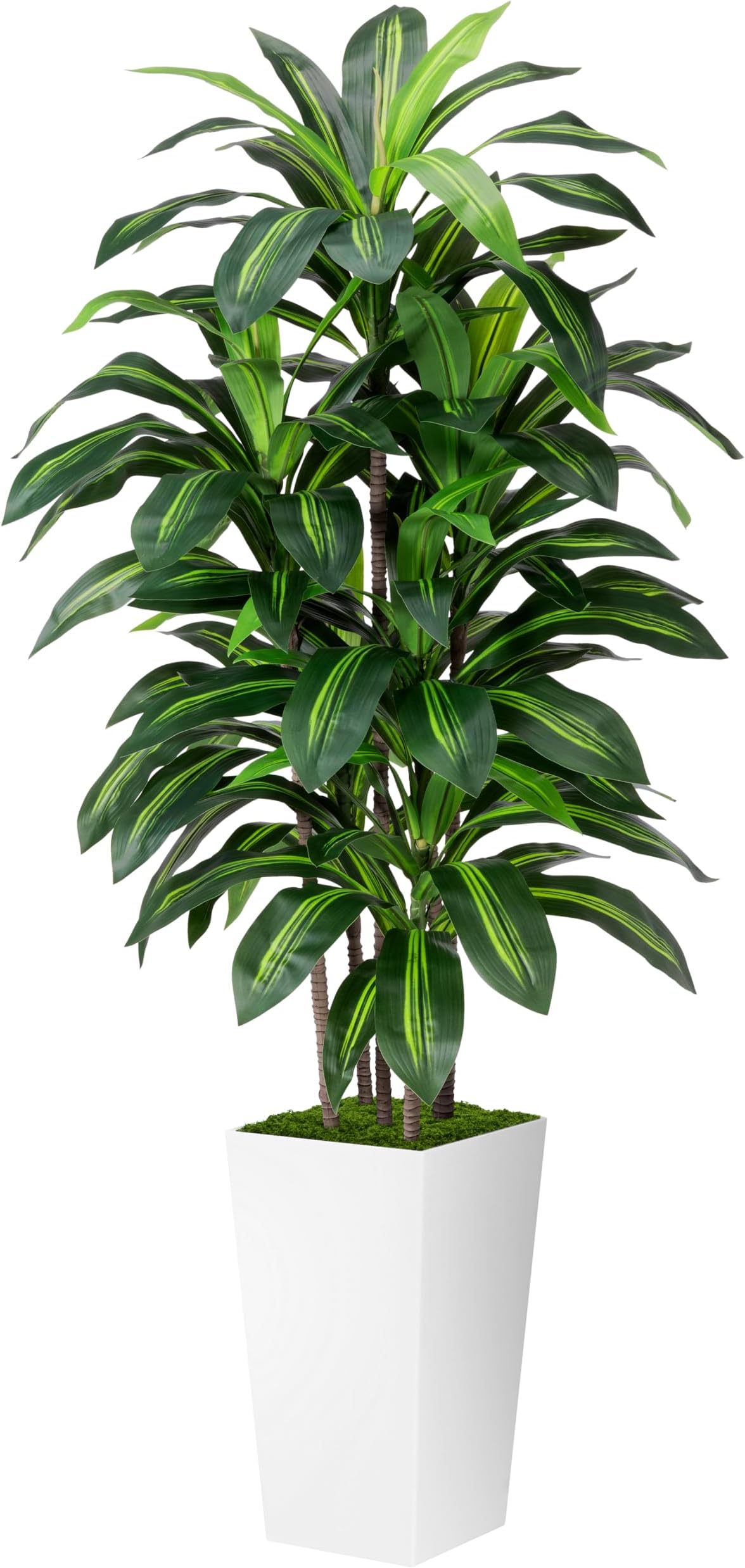 Artificial Dracaena Plant Indoor 5FT - Fake Tree with White Tall Planter - Faux Yucca Tall Fake Floor Plant in Pot - Artificial Trees for Home Office Living Room Decor Indoor