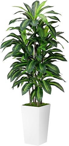 Artificial Dracaena Plant Indoor 5FT with White Tall Planter