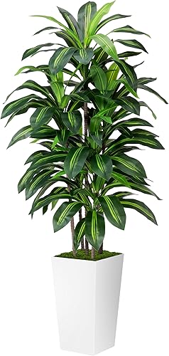 Planta artificial de Dracaena para interior de 5 pies – Árbol falso con maceta alta blanca – Yuca sintética alta planta falsa en maceta – Árboles