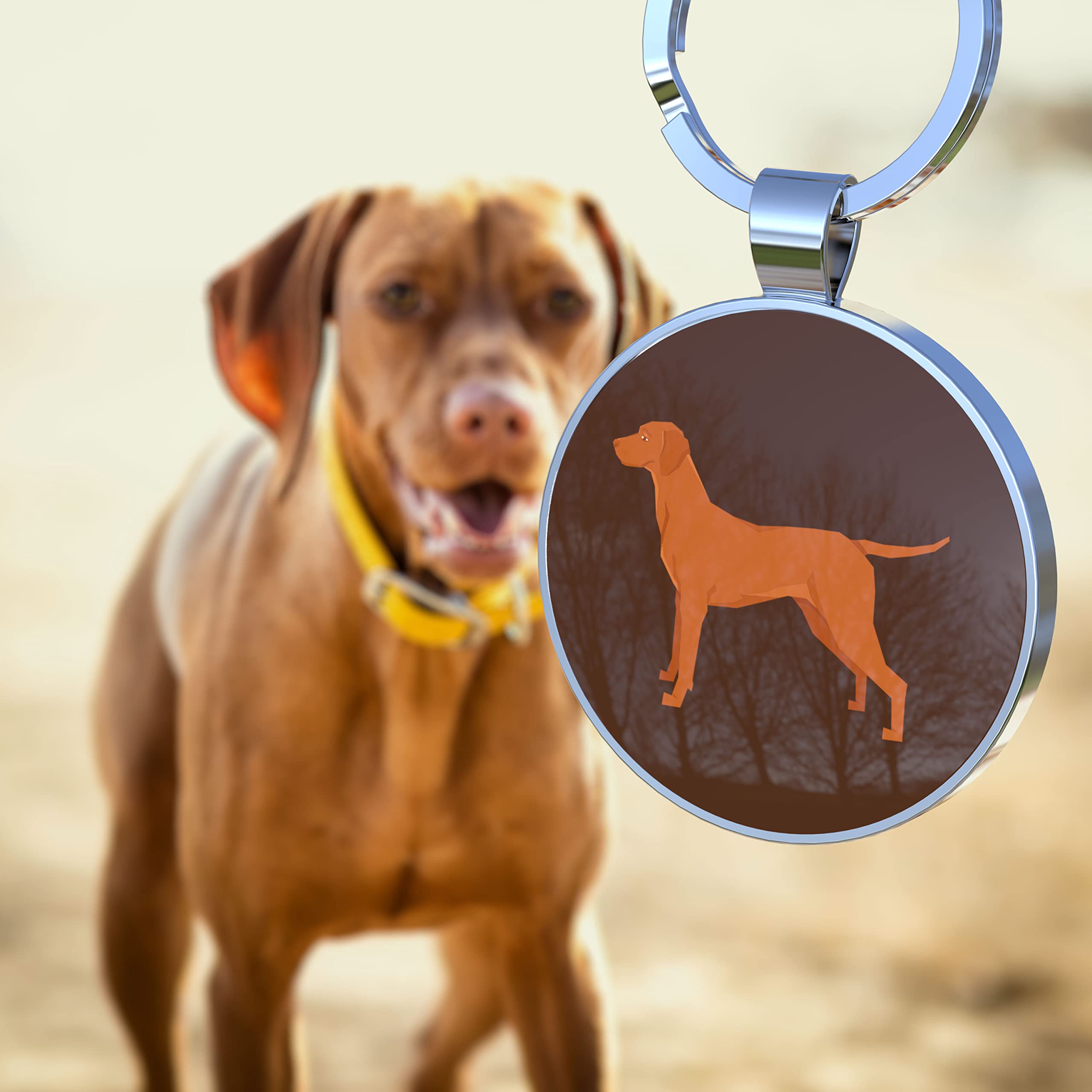 QR-Code Hundemarke – Personalisierbare Online-Hundemarke, 41 Designs, Keine App Nötig