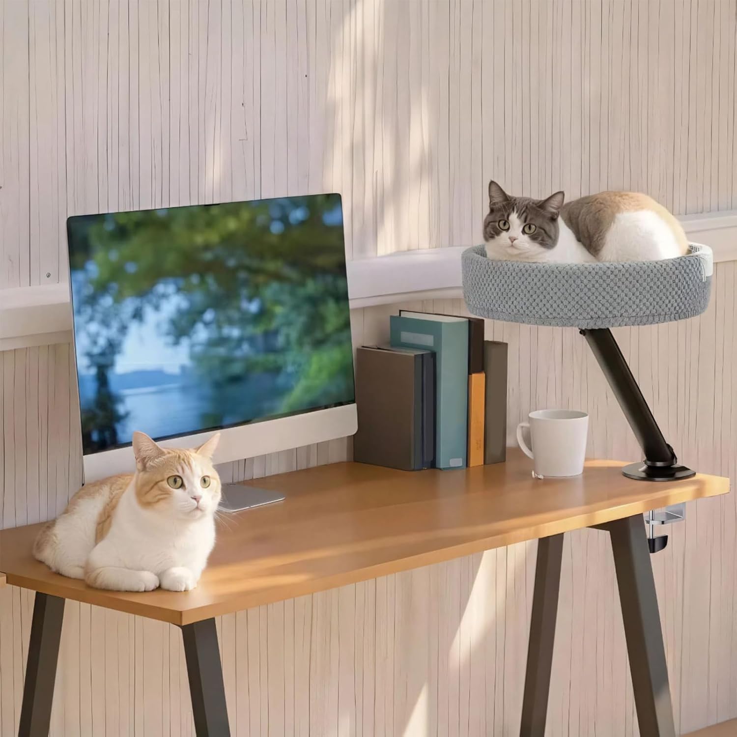 デスク用猫ベッド 机の上で使用できる猫のための寝床,子猫がくつろぐトンネル型デスクトップネスト | 猫ベッドデスクマウント - 室内