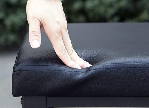 Miniatura 5 de Finnhomy Zapatero de entrada con asiento acolchado, banco de zapatos para entrada, banco de almacenamiento de 2 estantes con parte superior de cuero