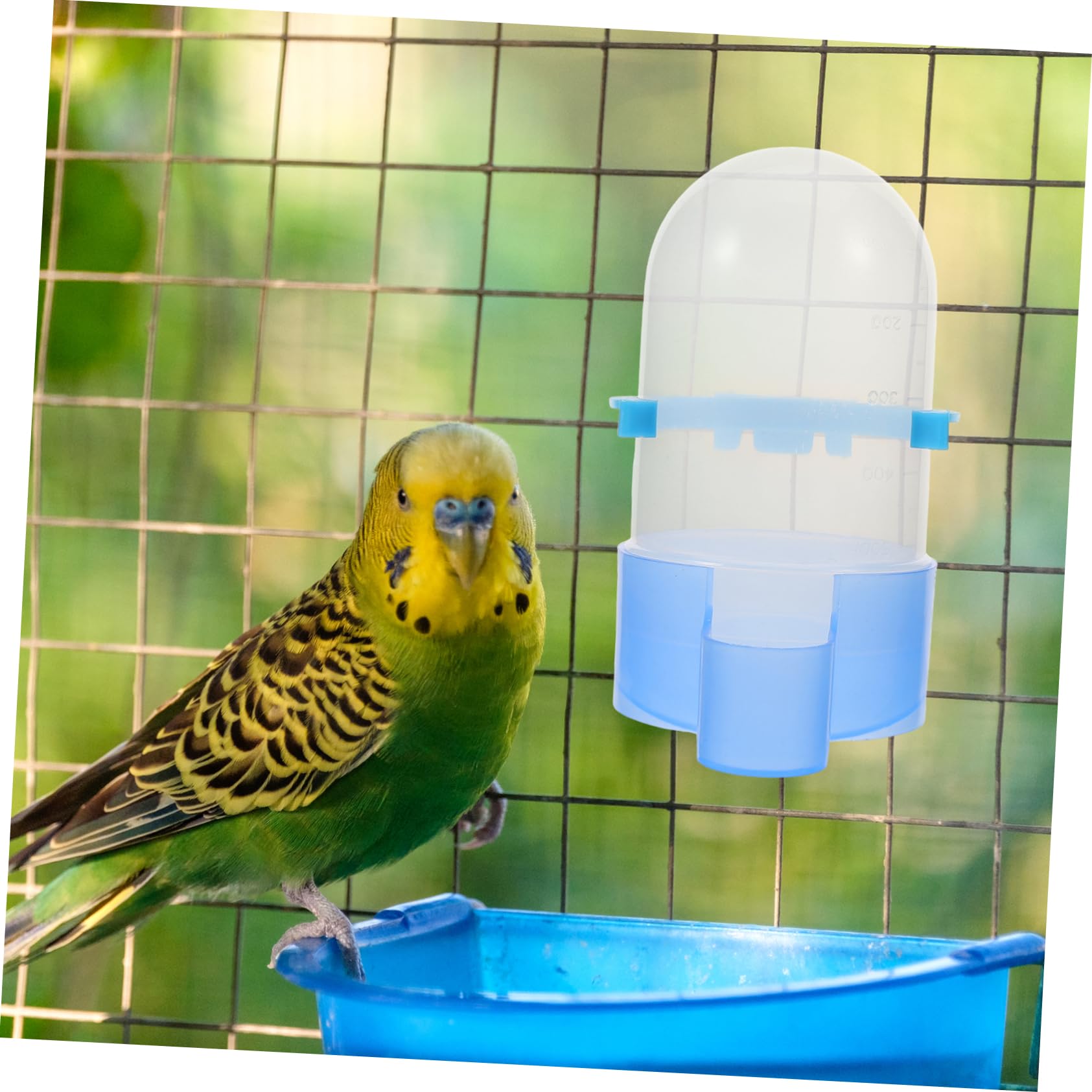 BESPORTBLE 4pezzi Mangiatoia Automatica Per Uccelli Con Distributore e Cibo Bevitore Multifunzione Per Pappagalli e Uccelli Domestici Realizzato Materiali Resistenti e Durevoli Facile Da