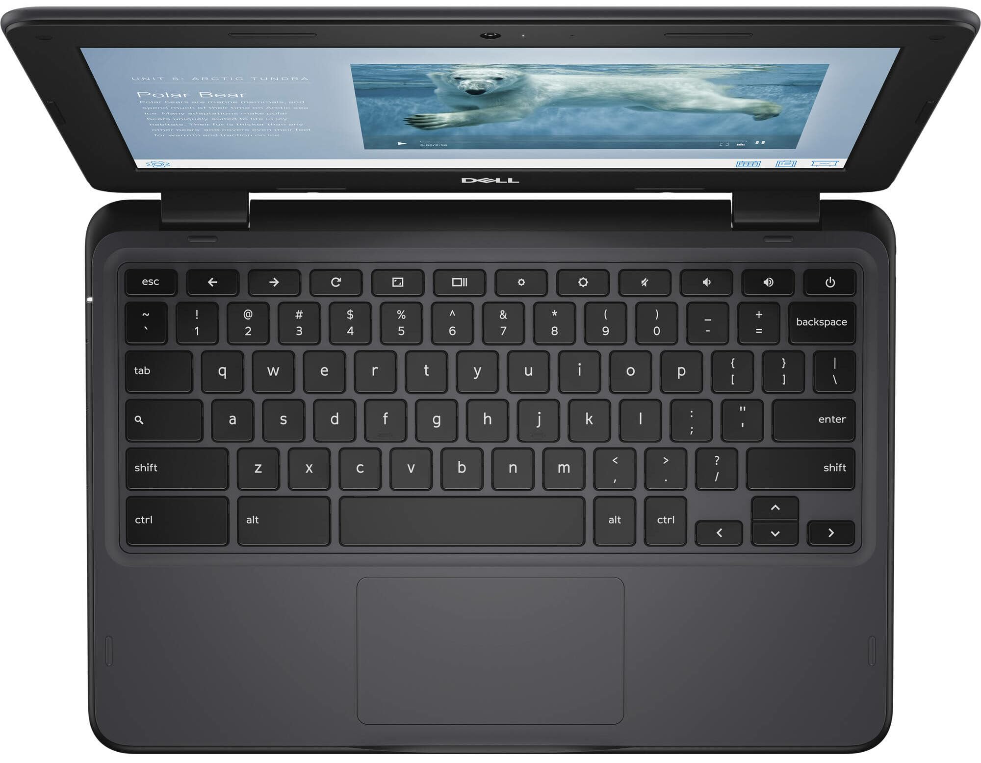 Dell Chromebook 3110 Ordinateur Portable 11,6 Pouces HD Intel Celeron N4500 4 Go RAM eMMC 32 Go Chrome OS Reconditionné