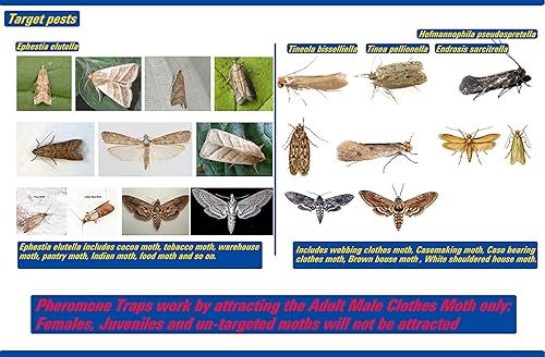 Miniatura 5 de Trampas para polilla para ropa y despensa con feromona atrayente, segura, no tóxica sin insecticidas