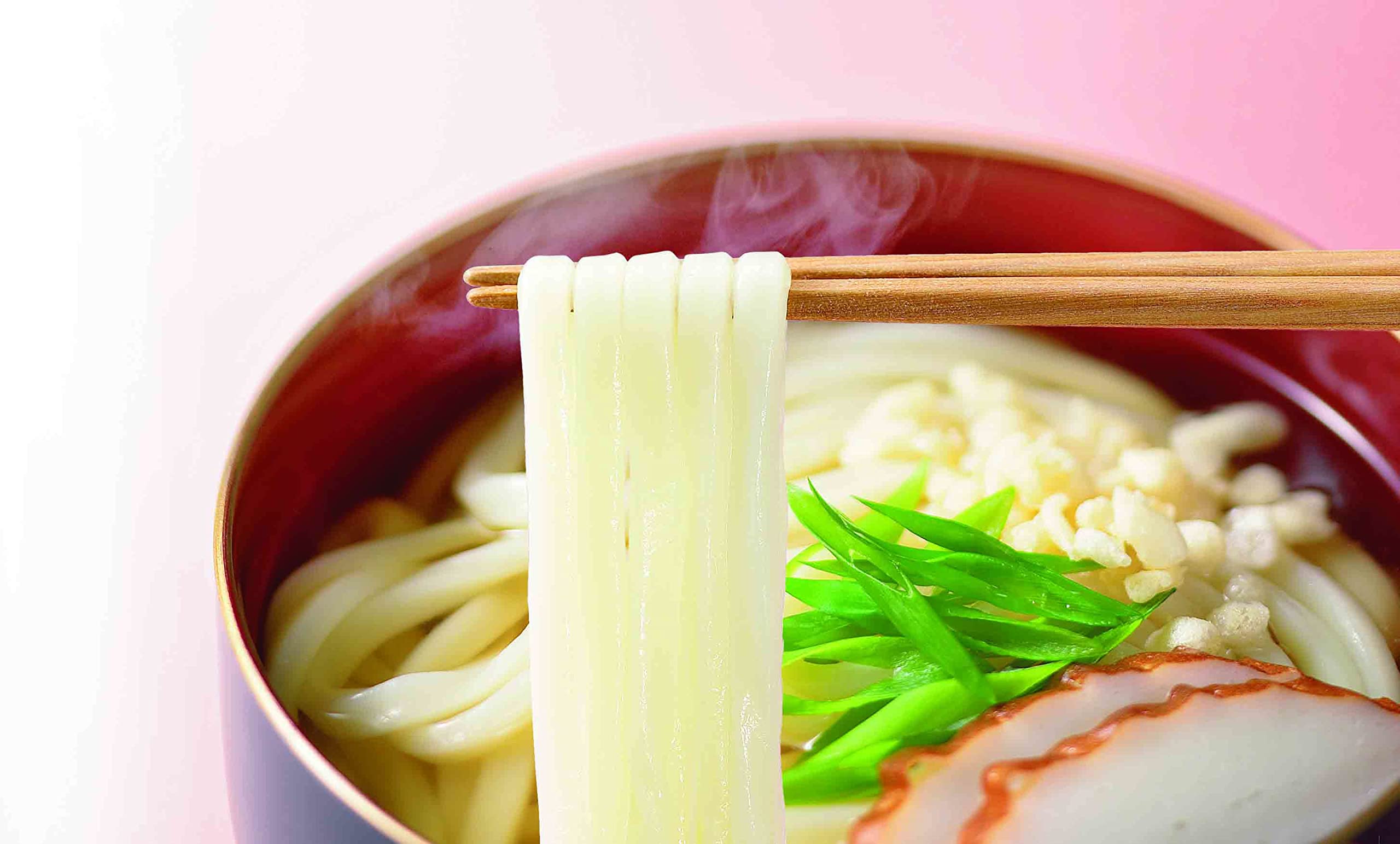 Amazon | [冷凍]サンデリックフーズ 麺名人 なにわのかけうどん 480g