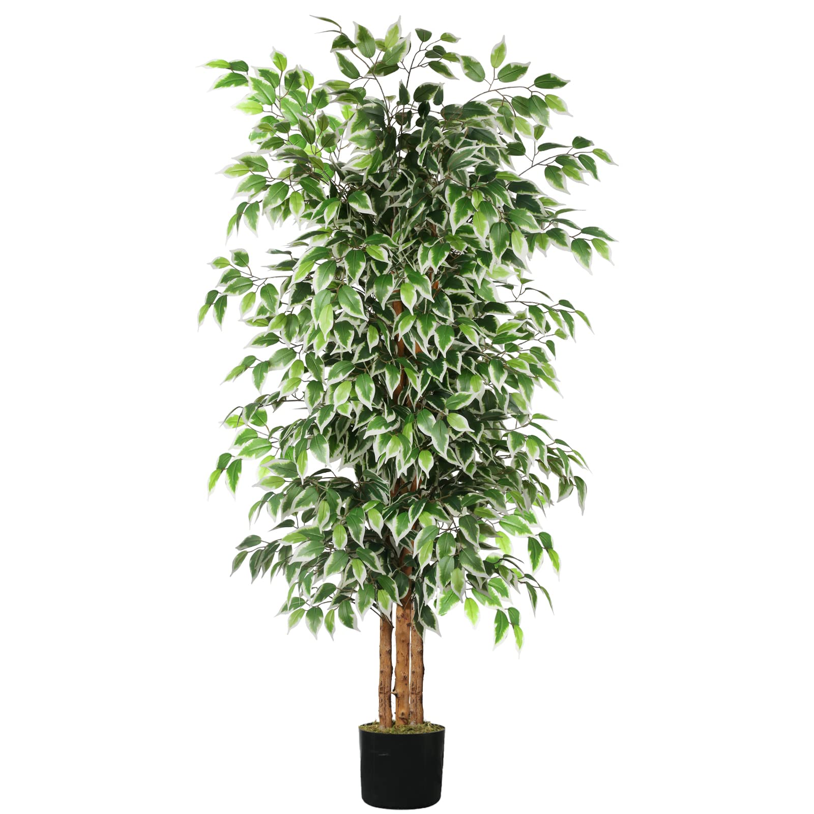 Windscreen4less Albero Di Ficus Artificiale 1,8 M Con Vaso - Pianta Finta Realistica In Poliestere E PU Per Decorazione Casa, Ufficio, Ingresso - Manutenzione Zero