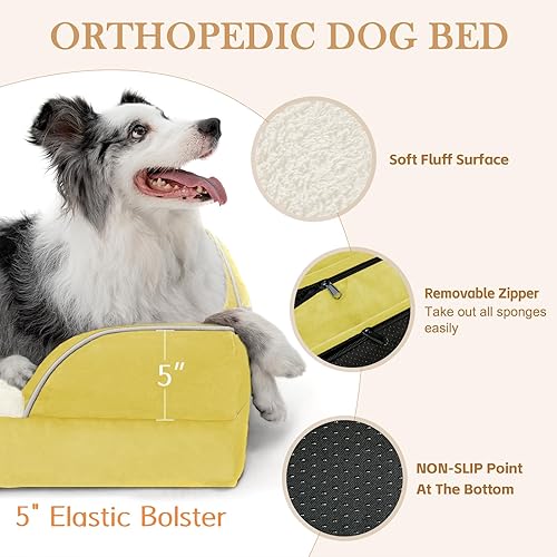 Miniatura 68 de Comfort Expression - Cama ortopédica para perros extragrandes, 53 x 42 pulgadas, cama impermeable y de apoyo de espuma con cojines removibles, con
