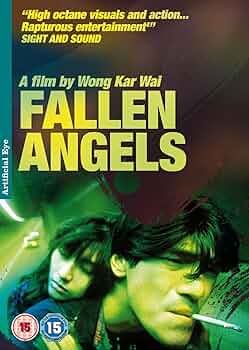 邦画・日本映画 Fallen Angel DVD-BOX 邦画・日本映画 Fallen Angel DVD-BOX 期間限定送料無料】 送料