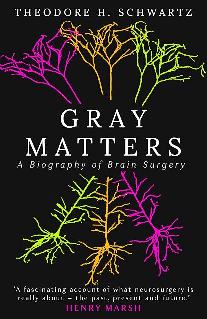 Portada de Gray Matters: A Biography of Brain Surgery