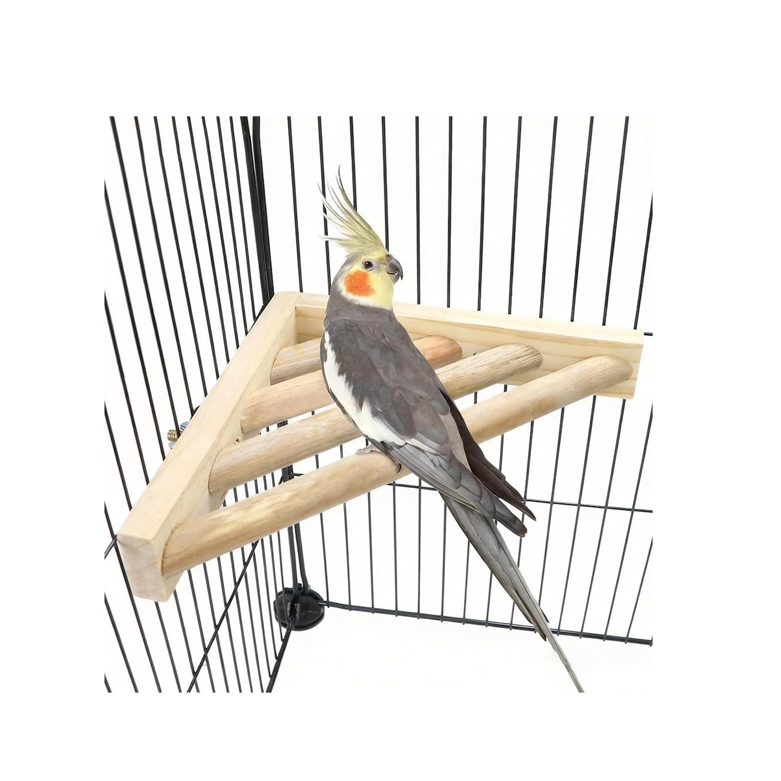 Litewoo Bird Perch Corner Platform Stand Shelf for Birds Budgie Parakeet Cockatiel Conure Cockatoo（Ladder）