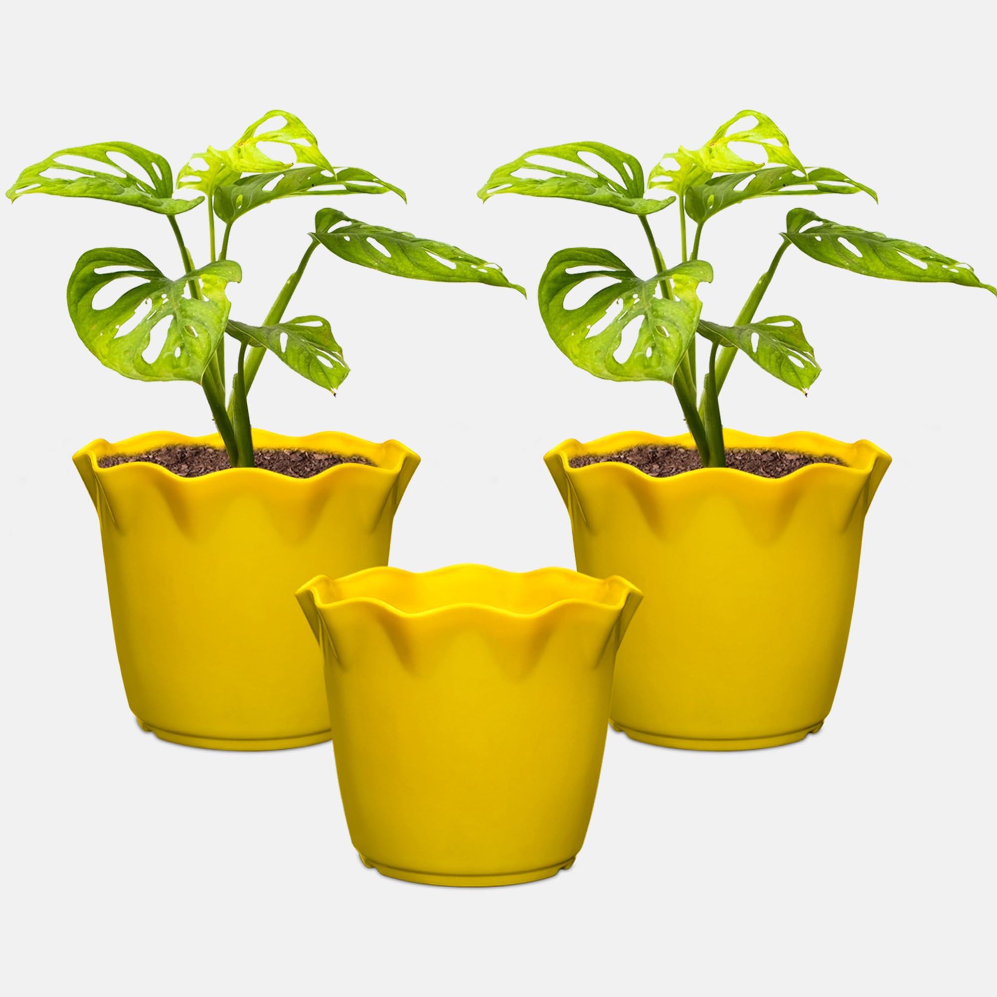 See full amazon price history chart for YUCCABE ITALIA SHERA 4 Inch Plastic Flower Pot 3 Piece Set of Unbreakable Round Shape Planter for Home Garden Seedling, Indoor and Outdoor (Yellow) YUCCABE ITALIA SHERA 4 Inch Plastic Flower Pot 3 Piece Set of Unbreakable Round Shape Planter for Home Garden Seedling, Indoor and Outdoor (Yellow) (B09XB2VBXF) Amazon Price History, Amazon Price Tracker