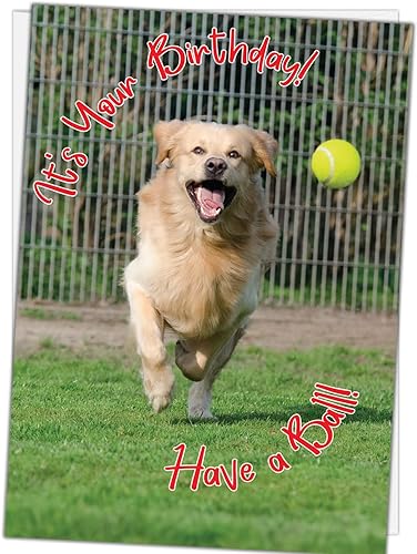 Miniatura 9 de Glory To Dog Buenas noticias You're Still Here! The Bad News In Dog Years, You'd Be Dead Tarjeta de cumpleaños divertida con sobre de correo de