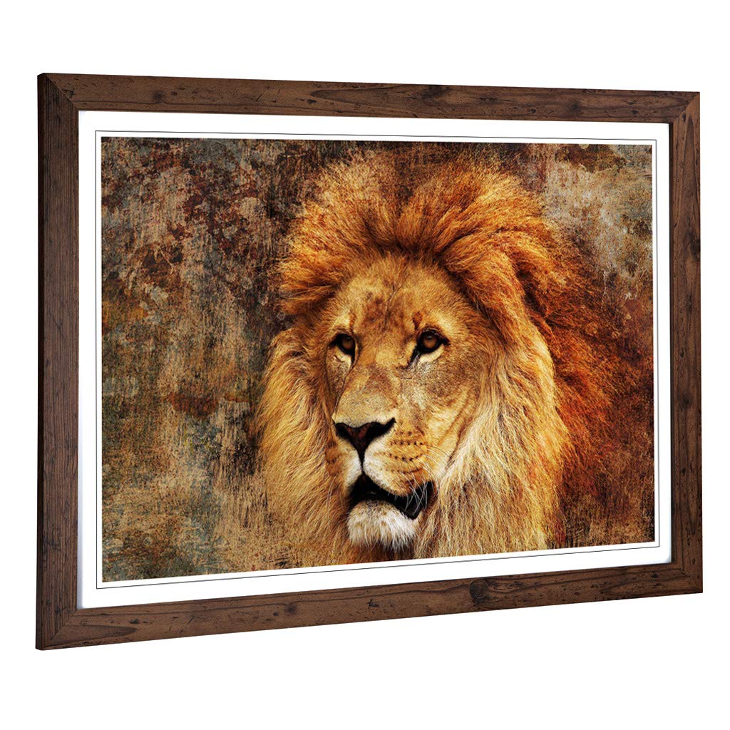 Big Box Art Framed Print of Lion 6 Design | Wall Art Picture | Home Decor for Kitchen, Living, Dining Room, Lounge, Bedroom, Hallway, Office, Walnut, A2 / 24.5x18 Inch / 62x45cm