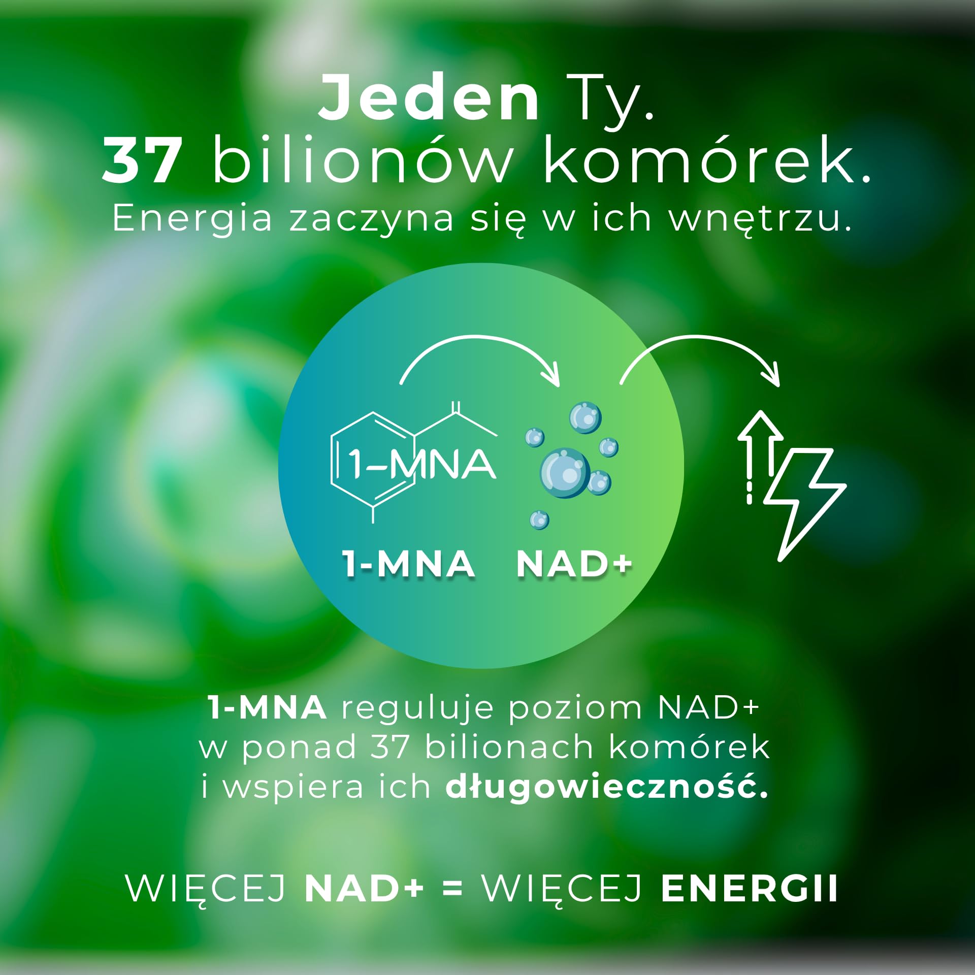 Vegan Complex 1-MNA, Anti Aging, Suplement Optymalizujący NAD+ z Witaminami i Minerałami dla Kobiet i Mężczyzn, D3, K2, B2, B6, B12, Kwas Foliowy, Cynk, Żelazo, Jod, Selen, 30 Kapsułek