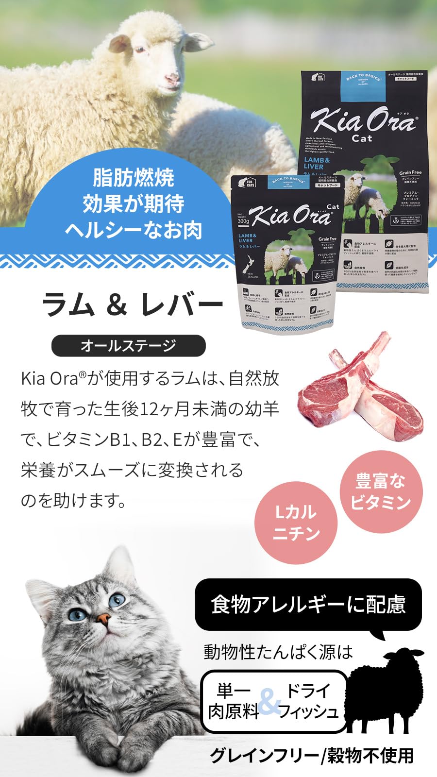 Amazon.co.jp: キアオラ KiaOra キャットフード ラム＆レバー 900g