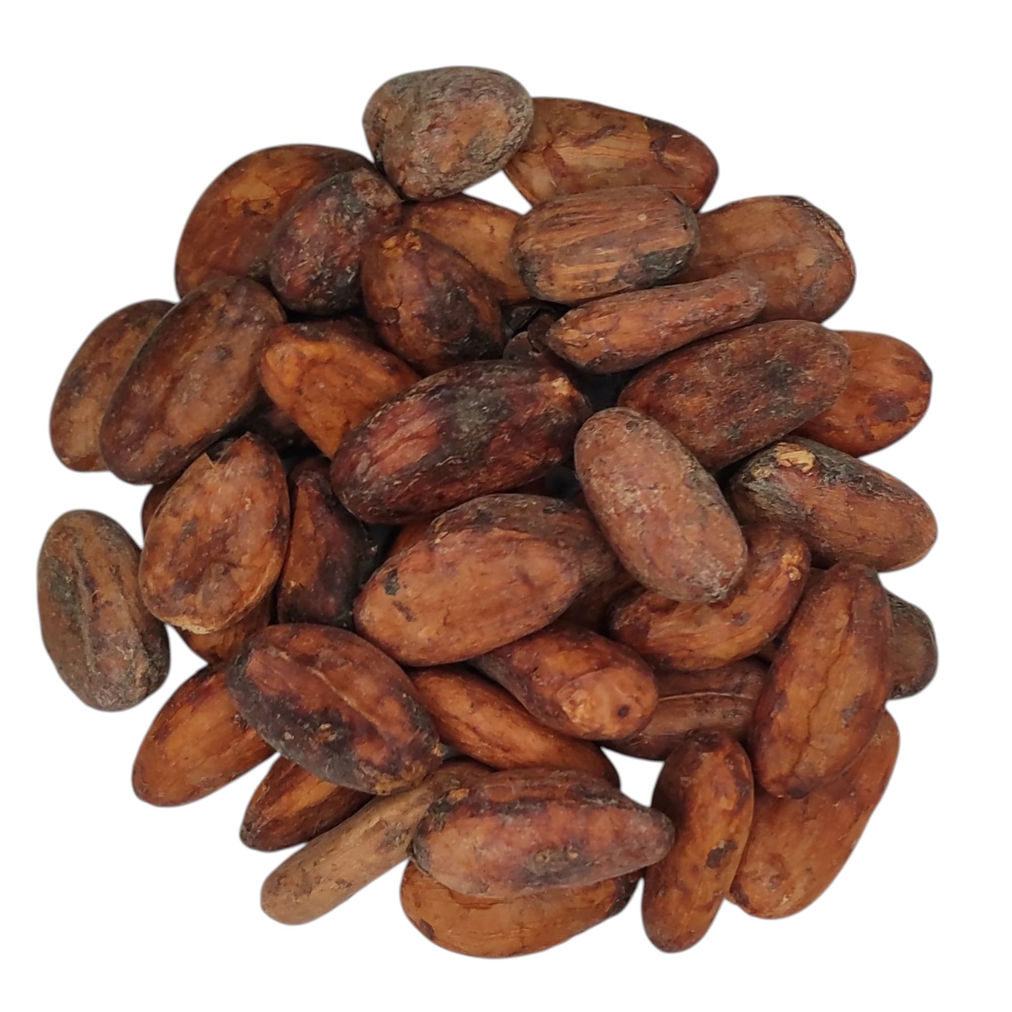 Granos de Cacao Crudo Orgánico Premium – theobroma Cacao (950 gramos)