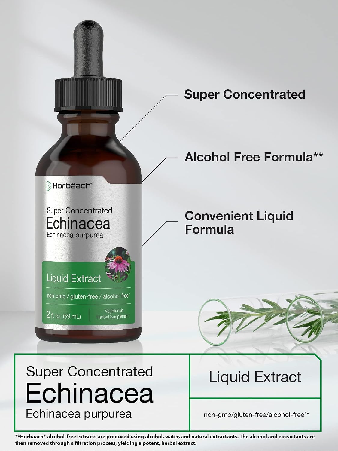 Echinacea Liquid Extract | 2 fl oz | Super Concentrated Drops | Alcohol Free, Vegetarian, Non-GMO, and Gluten Free | by Horbaach