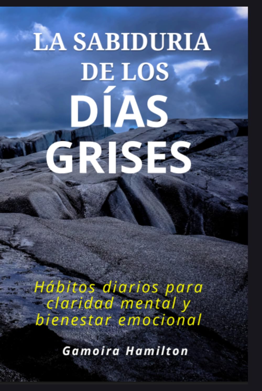 La sabiduría de los días grises: Hábitos diarios para claridad mental y bienestar emocional