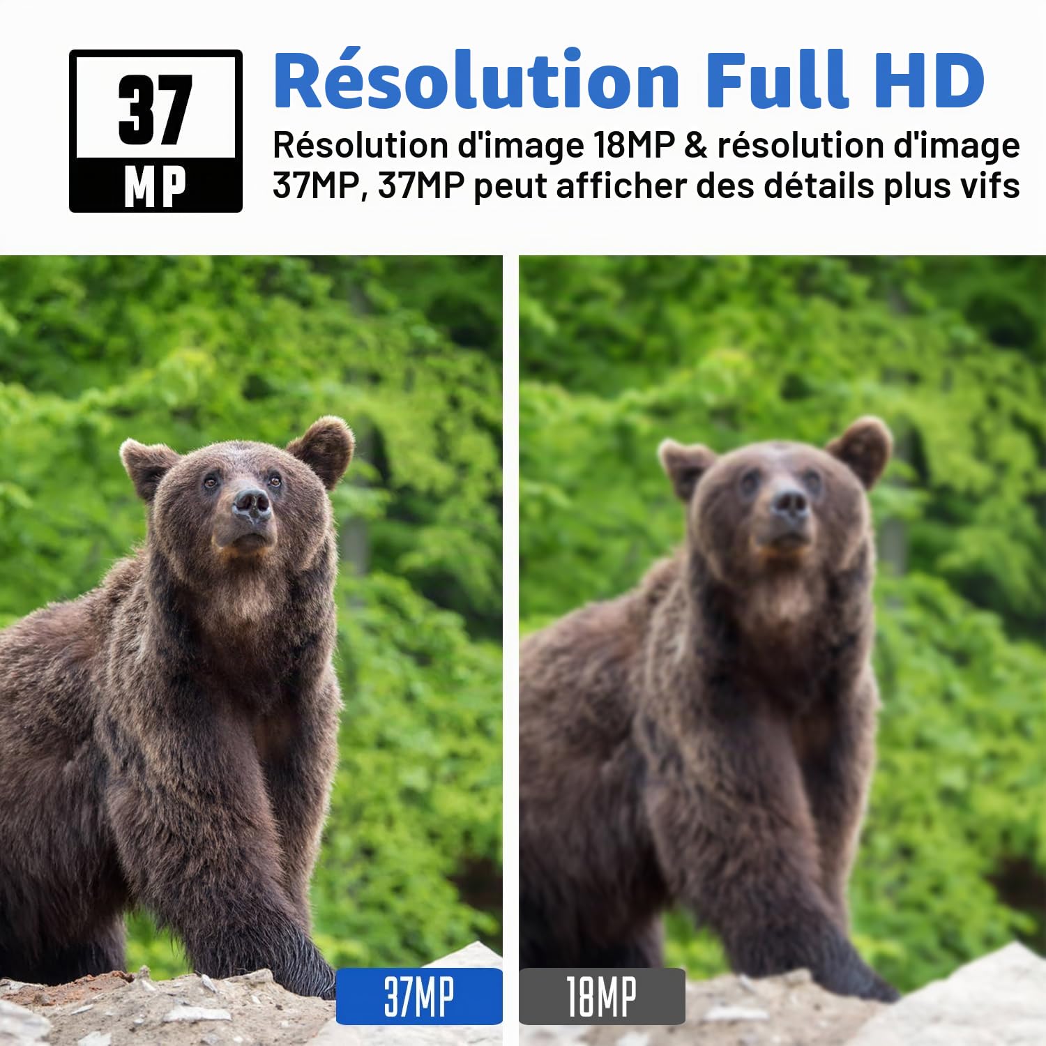 Bolyguard Camera Chasse 4G Caméra de Chasse GSM 37MP 4K HD Vision Nocturne 100ft piege Photo IP66 (SD Incluse 32 Go)