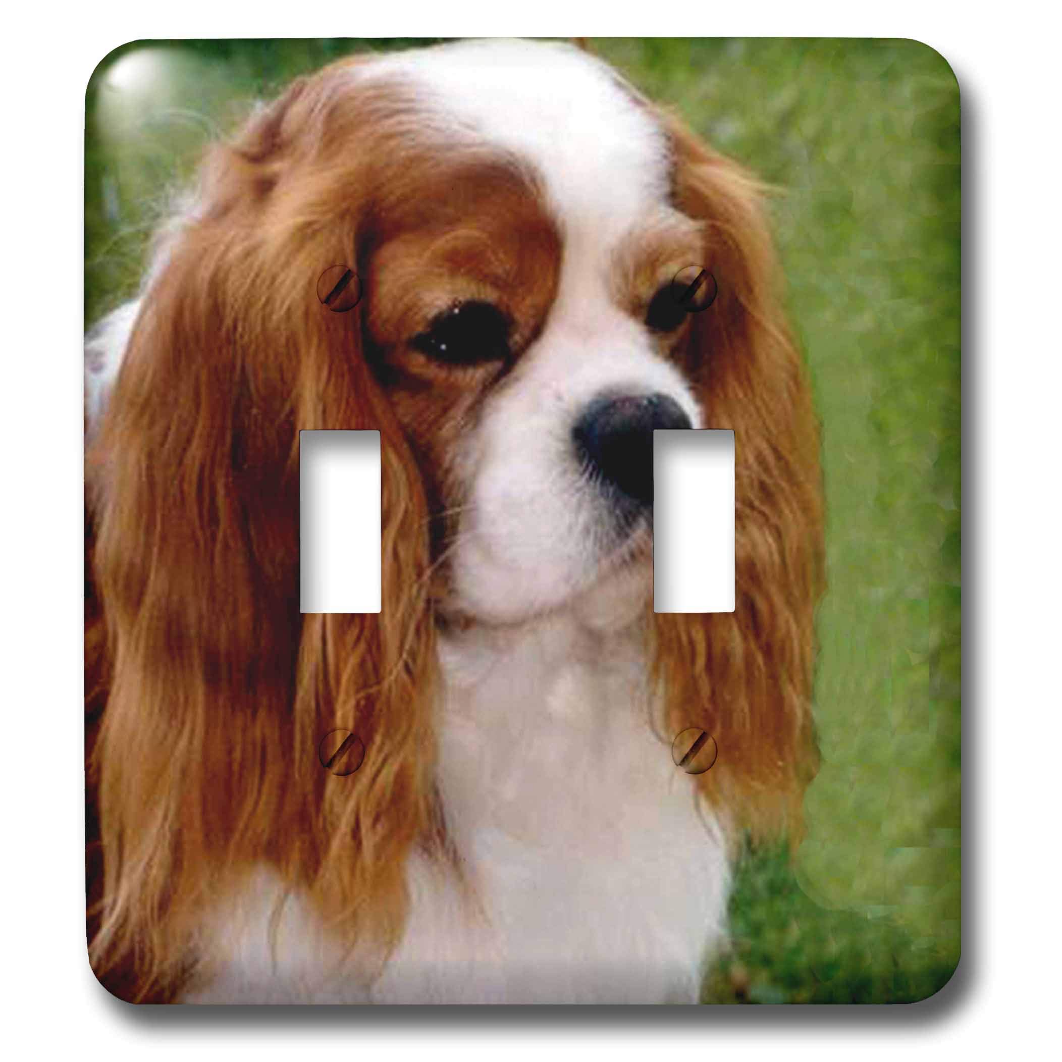 Interruptor doble Cavalier King Charles Spaniels para decorar salones y dormitorios 1