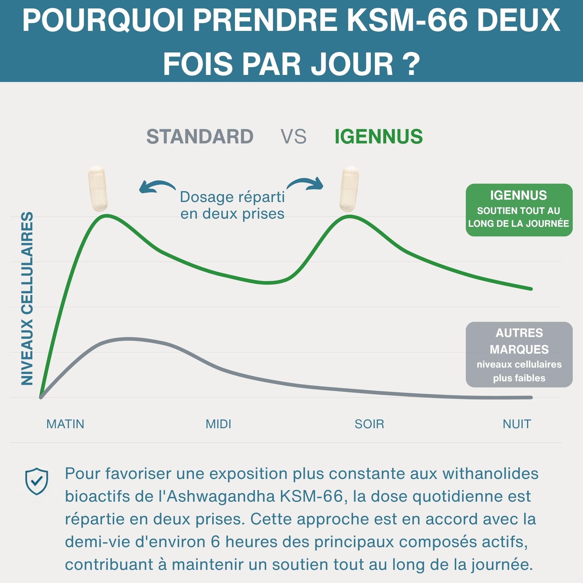 Igennus Ashwagandha KSM-66 Complexe avec L-Théanine & Magnésium Pur Extrait de Racine 600mg, Anti-Stress, Anxiété, Réduction Cortisol et Fatigue – 60 Capsules Végan à Action Rapide, 30 jours