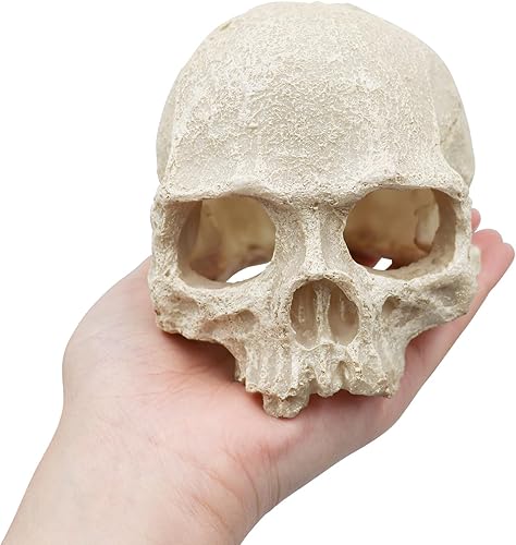 Miniatura 5 de Escondite de serpiente, decoración de cráneo de acuario de reptil, piel de esqueleto de resina, accesorios de terrario de tanque, cueros de reptiles