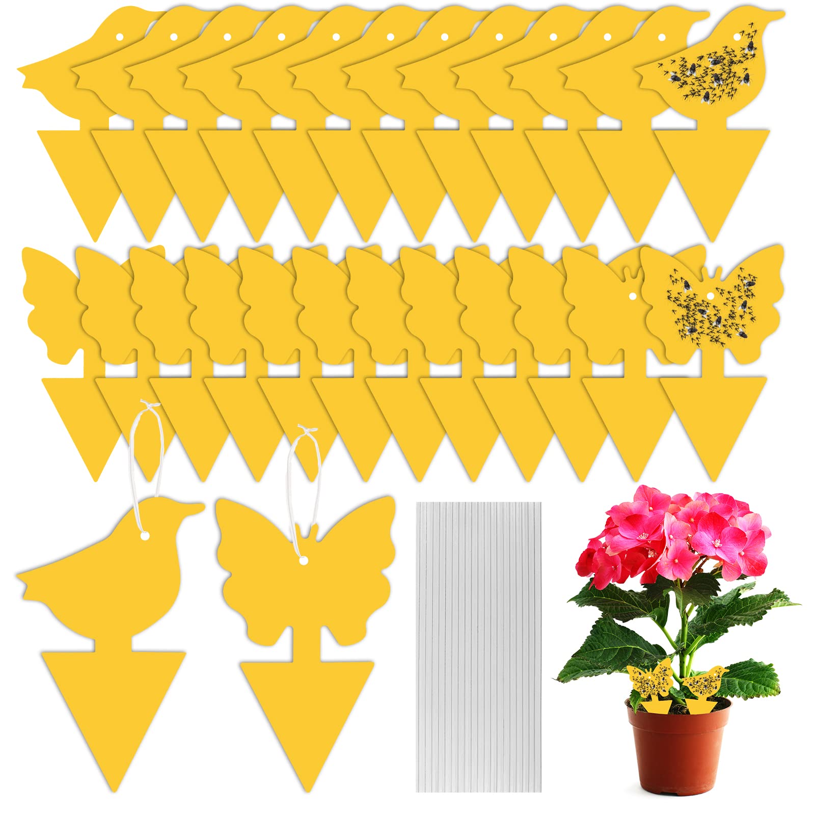 Fruit Fly Trap, 24 PCS Yellow Sticky Fly Traps Killer Fungus Gnat Sticky Traps, Double-Sided Fly Catchers for Protect Plants and Control Indoor Plant Bug, Fly Paper for Flies Mosquitoes Fungus Gnats-image-27