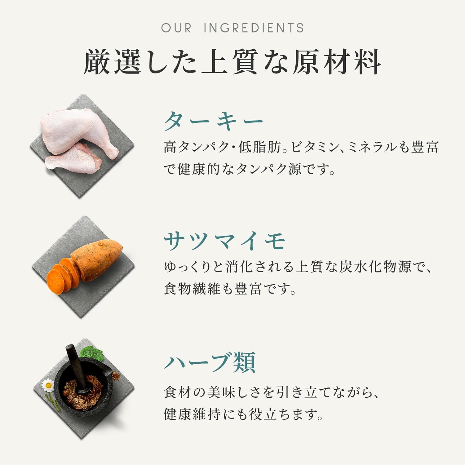カナガン デンタルキャットフード