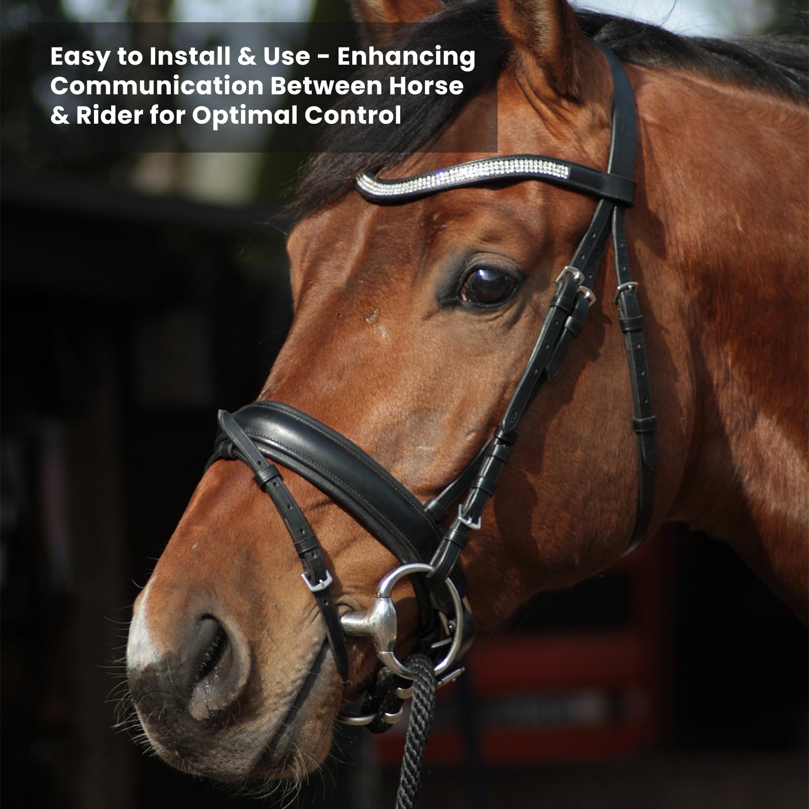 Broca de boca de caballo de 120 mm Anillos sueltos de caballo Broca de rotura de caballo de acero inoxidable Boca de caballo con cadena Broca de filete de caballo resistente al desgaste Equipo de entr