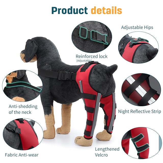 Foto 6 de 6 de PETCUTE Rodillera Ajustable para Perros con Banda Reflectante -Condroprotector Perros
