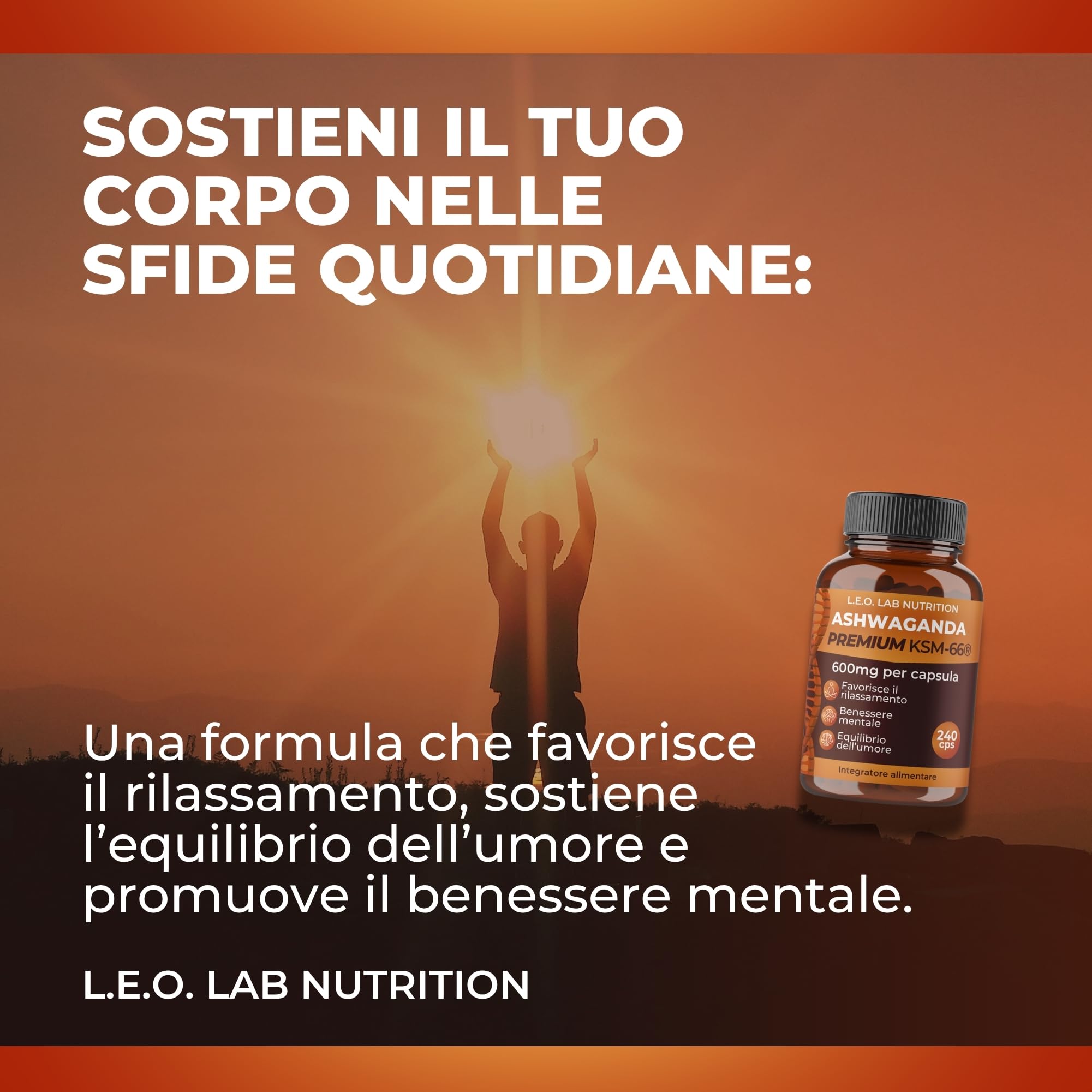 Ashwagandha KSM-66® 1200 mg Pura – 240 Capsule Vegane – Estratto da Radice ≥5% Witanolidi per Stress, Energia, Concentrazione e Benessere Psicofisico