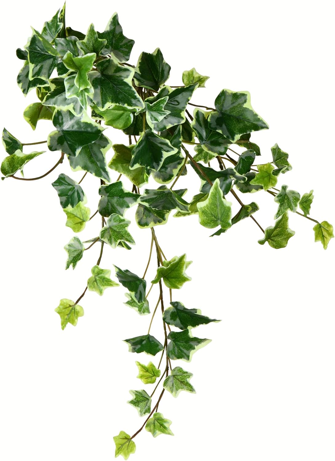 Vickerman Everyday 28" Artificial Varigated Ivy Hanging Bush 2 Pack - Faux Indoor Hanging Plant Bush - Greenery for Home Or Office Decor - Maintenance Free