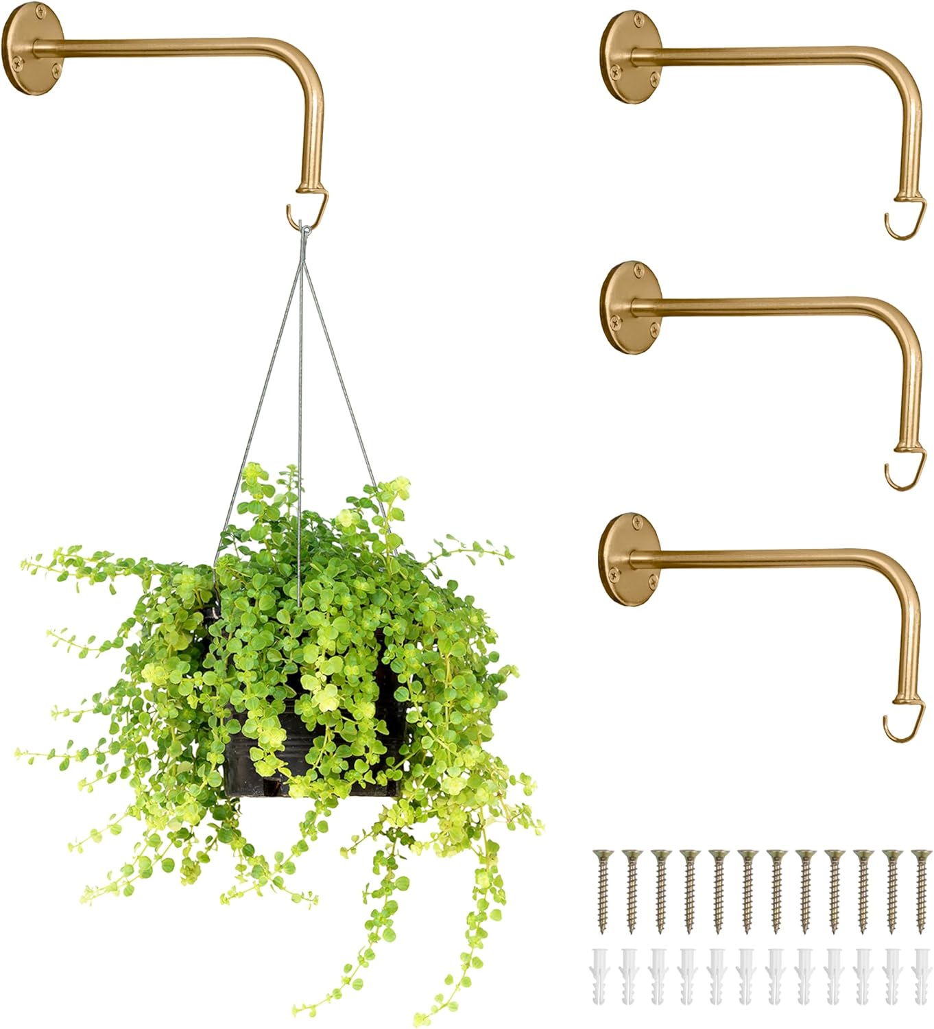 Ilyapa 4 Pack Metal Plant Wall Hanger Hooks - 7 in. Hook for Hanging, Baskets, and Macrame, Indoor Hangers in Rustic Brass Finish, Wall Planters