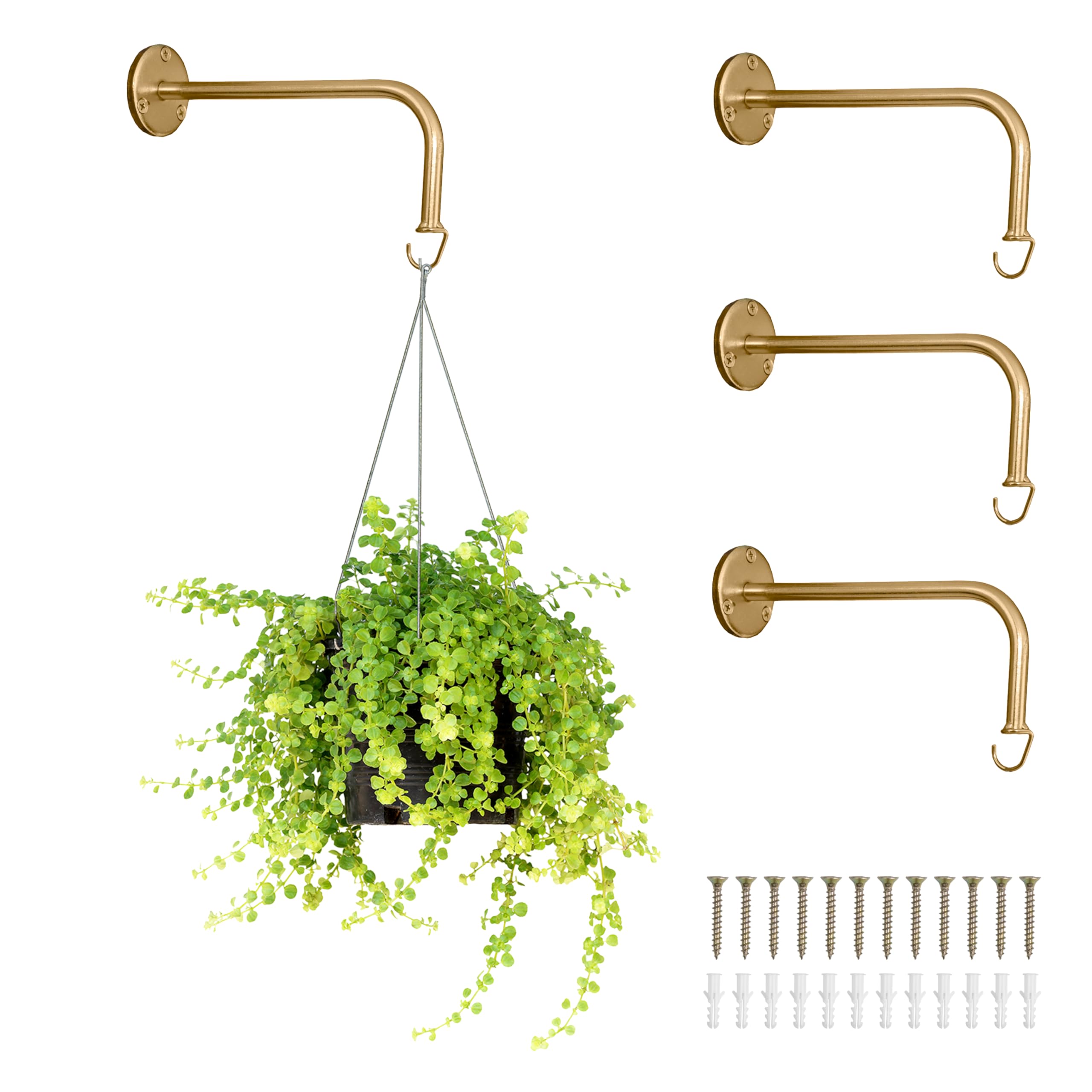 stylish grow lights for indoor plants Large Aspect™ Grow Light Gift Set main image 0