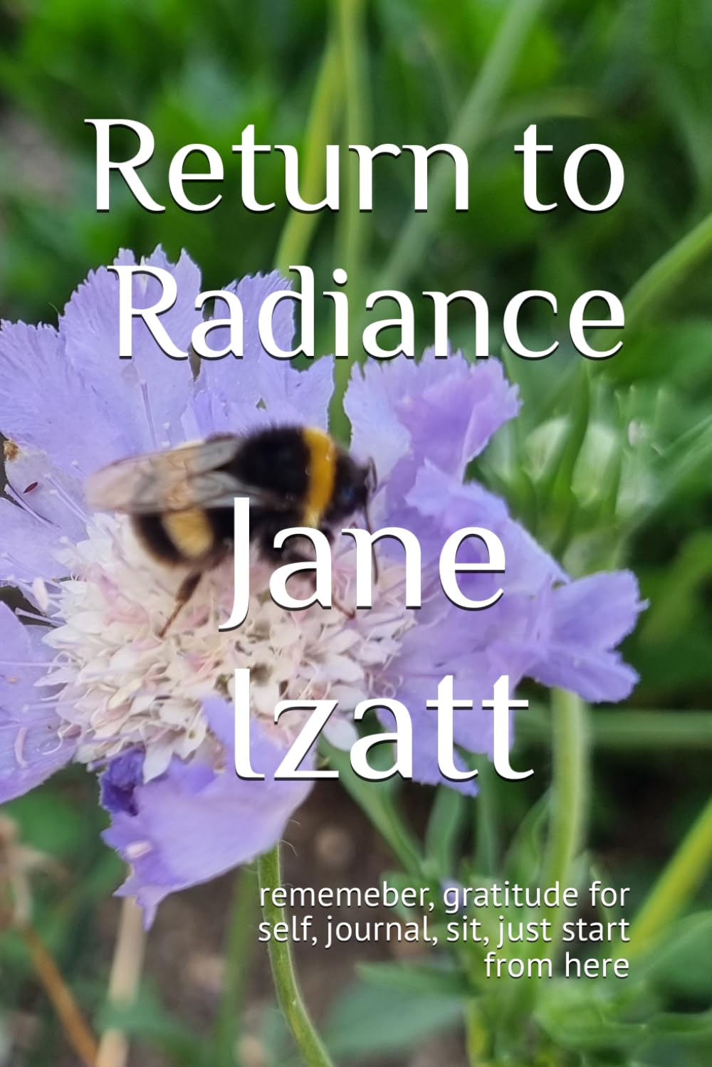 Return to Radiance: rememeber, gratitude for self, journal, sit, just start from here