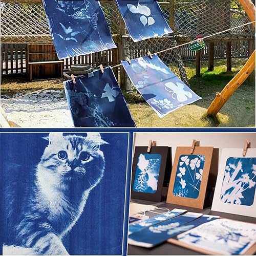 Miniatura 6 de 30 piezas de papel cianotipo de impresión solar Kit de papel de alta sensibilidad de dibujo de naturaleza impresión de sol sol activado/solar