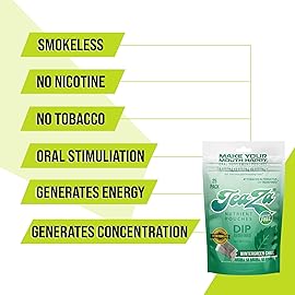 TeaZa Herbal Energy Pouches Tobacco Free Dip Nicotine Free, Alternative Snuff Healthy Chewing Dipping Alternative, Wintergreen Chill (4 Pack) No Caffeine Refreshing Cool Flavor