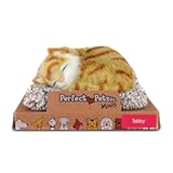 Perfect Petzzz Mini Orange Tabby Kitten&comma; Kitty Toys for Girls&comma; Boys&comma; & Elderly&comma; Realistic Cat Stuffed Animals&comma; Battery-Operated Fake Cat Electronic Pets