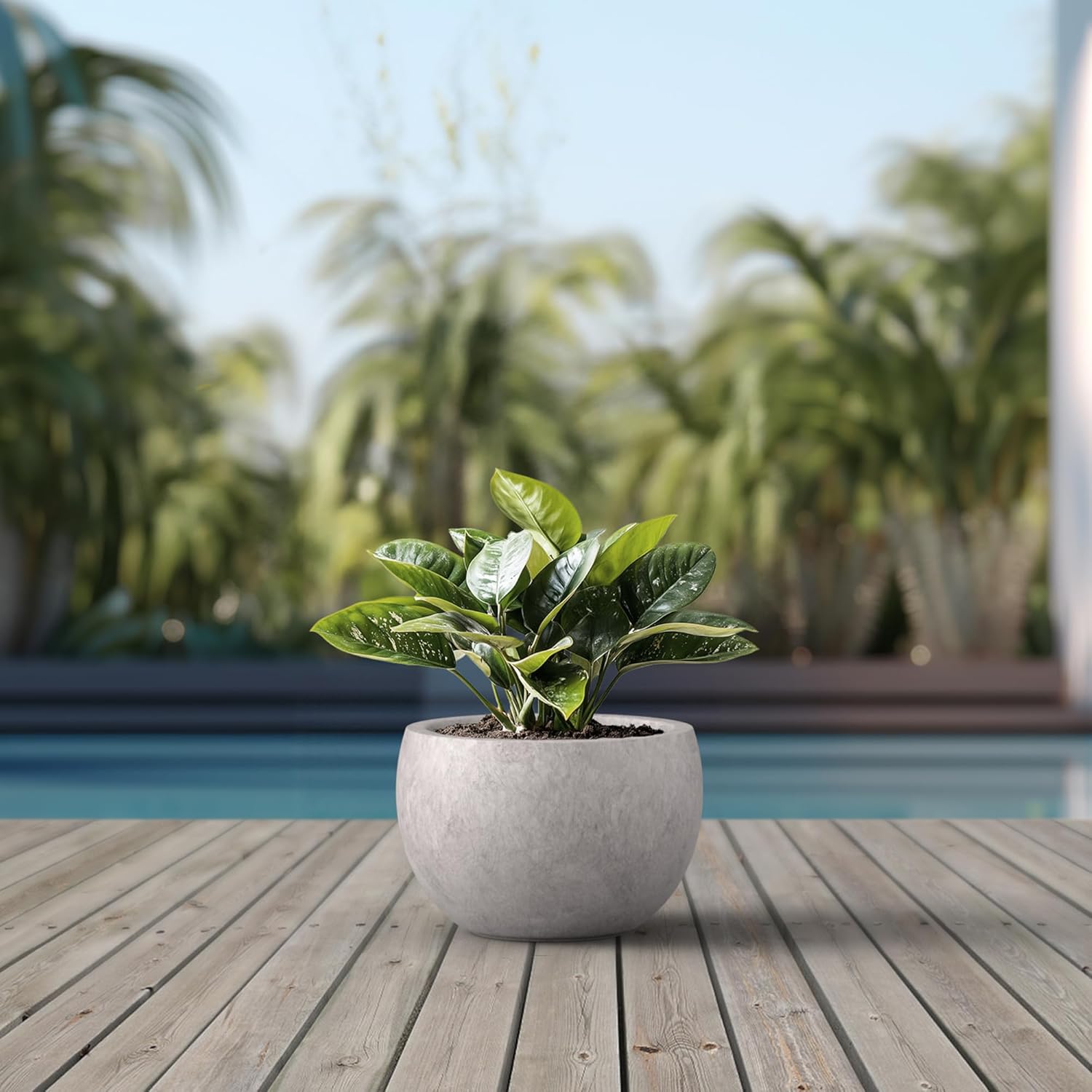 Kante 19.9" Dia Round Concrete Planter, Outdoor/Indoor Large Bowl Plant Pots with Drainage Hole and Rubber Plug for Garden Patio Balcony Home, Light Gray - Image 3