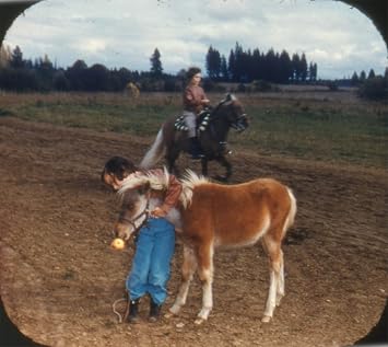 Horses 3D View-Master 3 Reel Set