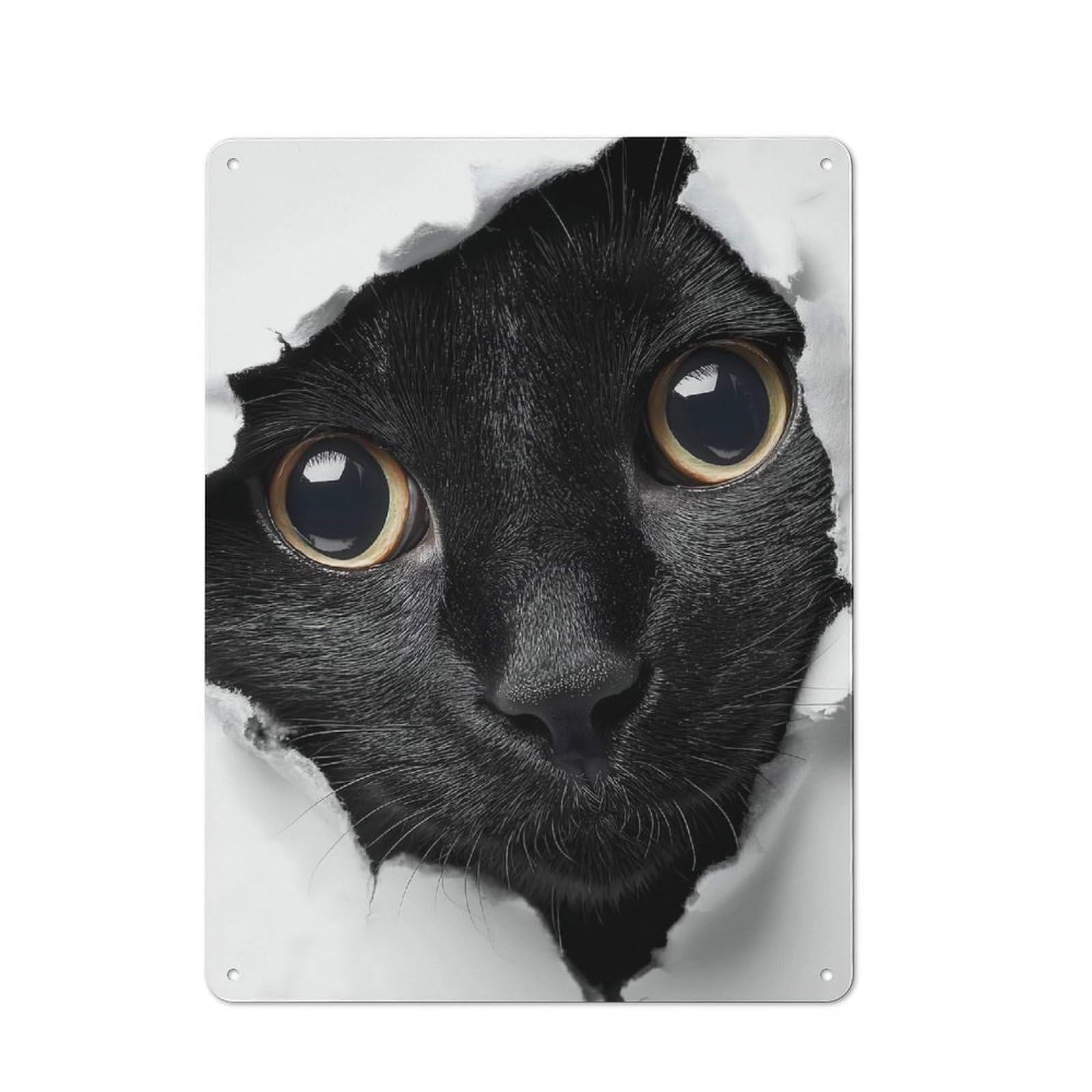 Junmoney Style-6 Metal Plaque 40X30cm With Black Cat Peeking Through Torn Paper For Hallway Wall, Rustic Decor, A Metal Wall Feature For Hallways And Entrance Areas