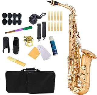 BOTOWI Professional Eb Alto Saxophone, Alto Saxophone Gold Lacquer Finish, Saxophone Wind Instrument with Shell Keys, Premium Gold Plating Brass Sax Full Kit for Beginners Students Professional