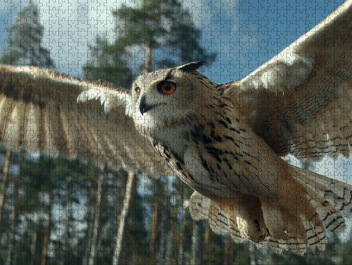 Puzzle Arte con Scatola Animale, Gufo Puzzle Legno 6000 Pezzi Adulti 179x105cm, Attività di Intrattenimento ad Alta Difficoltà, DIY Classici Gioco, Jigsaw Per Tutta La Famiglia, Estate Regalo, 5-6232