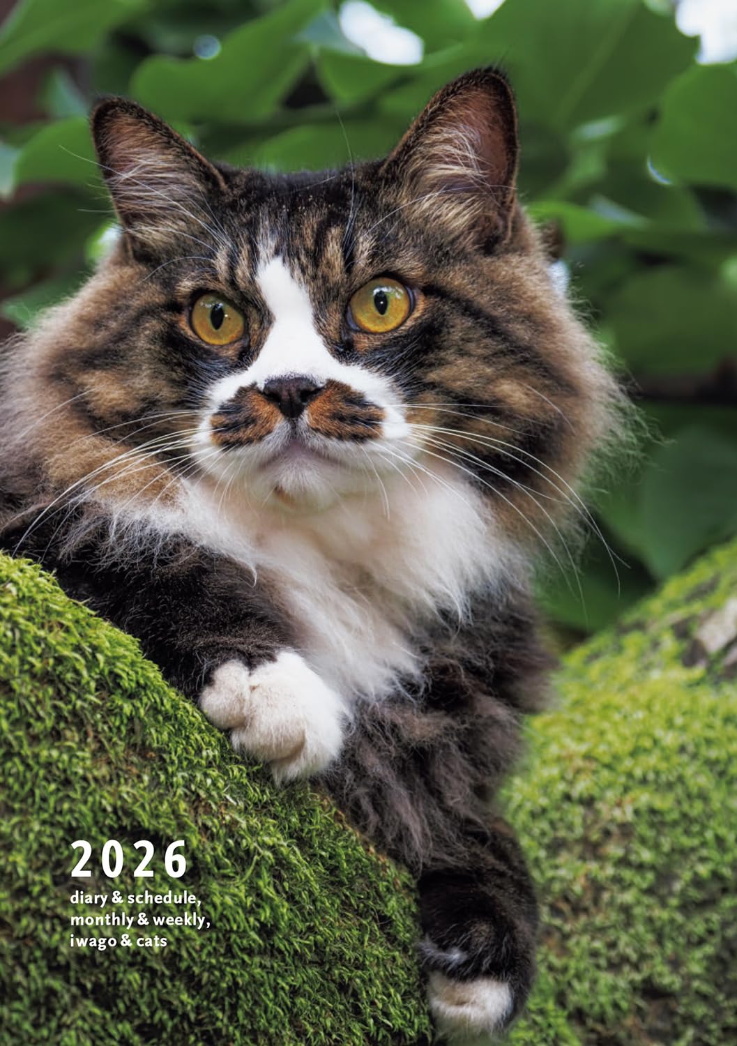 アンティーク猫さん⑥ 71PbFnnRmgL.jpg