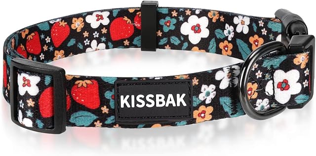 KISSBAK Dog Collar for Small Dogs - Cute Small Medium Large Girl Dog Pet Collar Soft Adjustable Fancy Floral Sunflower Boy and Girl Puppy Dog Collar (S, Strawberry)